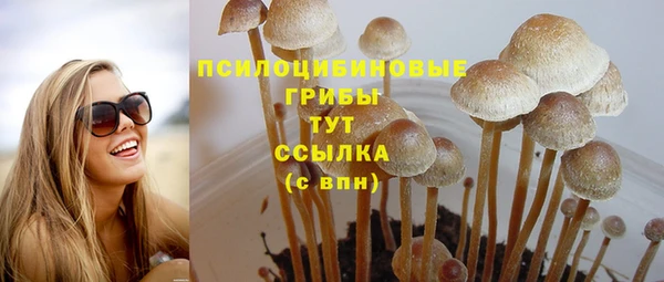 apvp Алексин