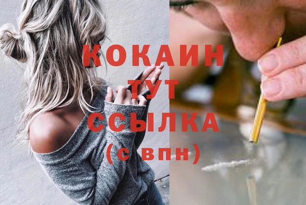 мдпв Янаул