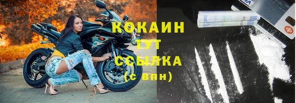 амф Зерноград