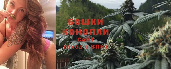 соль ск Заводоуковск